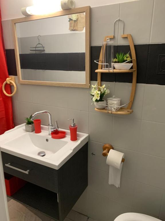 a bathroom with a sink and a mirror and a toilet at Pois doux in Fort-de-France