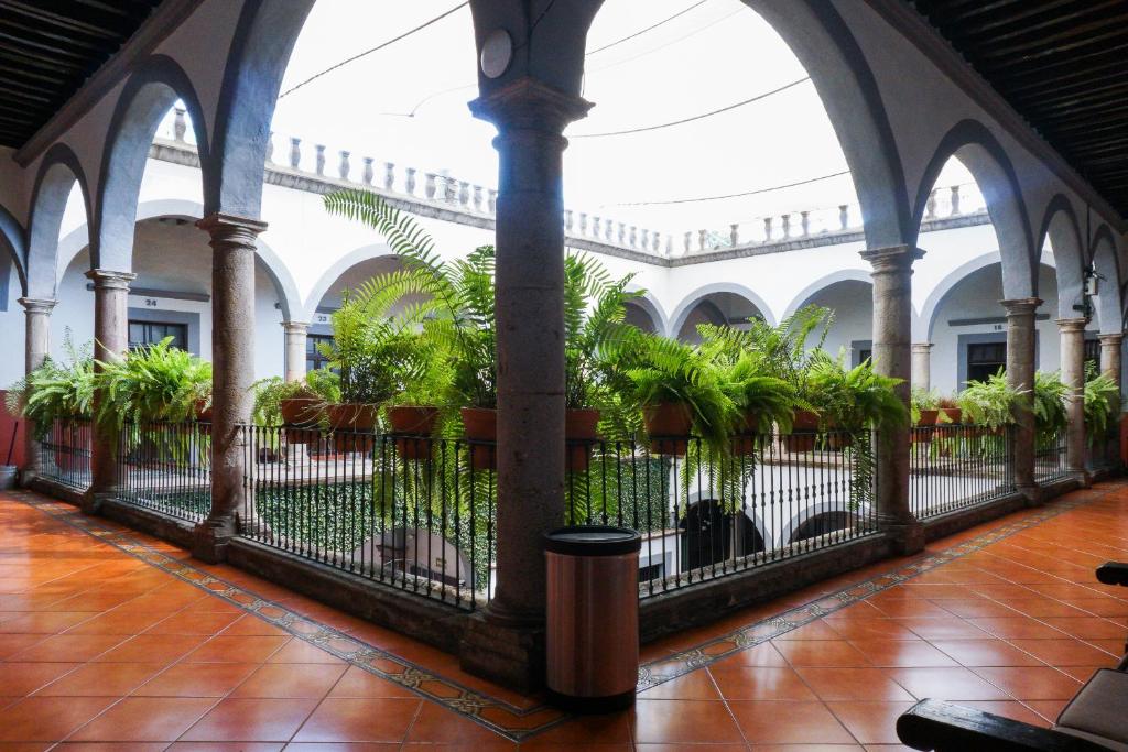 Zahrada ubytování Hotel Hidalgo
