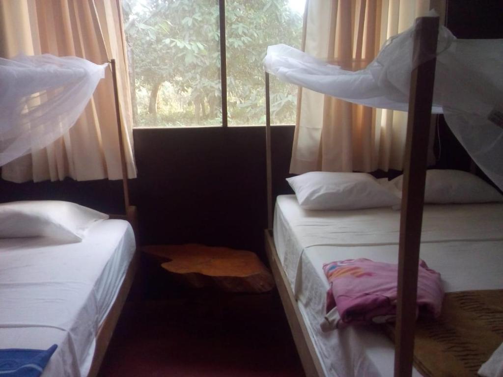 a bedroom with two bunk beds and a window at Tambopata River in Puerto Maldonado
