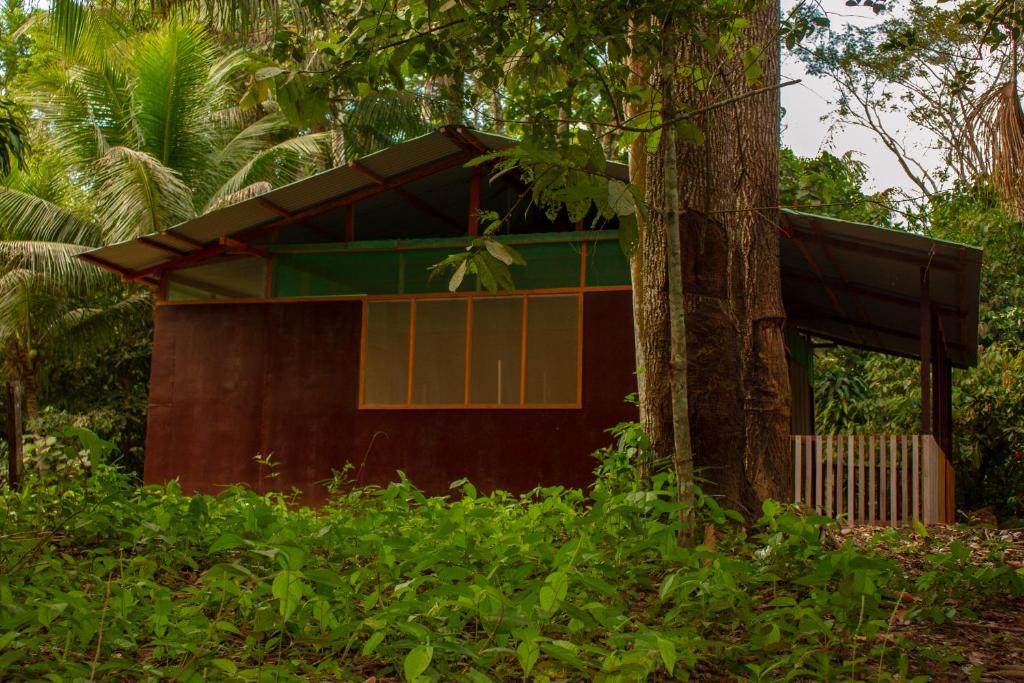 a house in a forest with a tree at Tambopata River in Puerto Maldonado