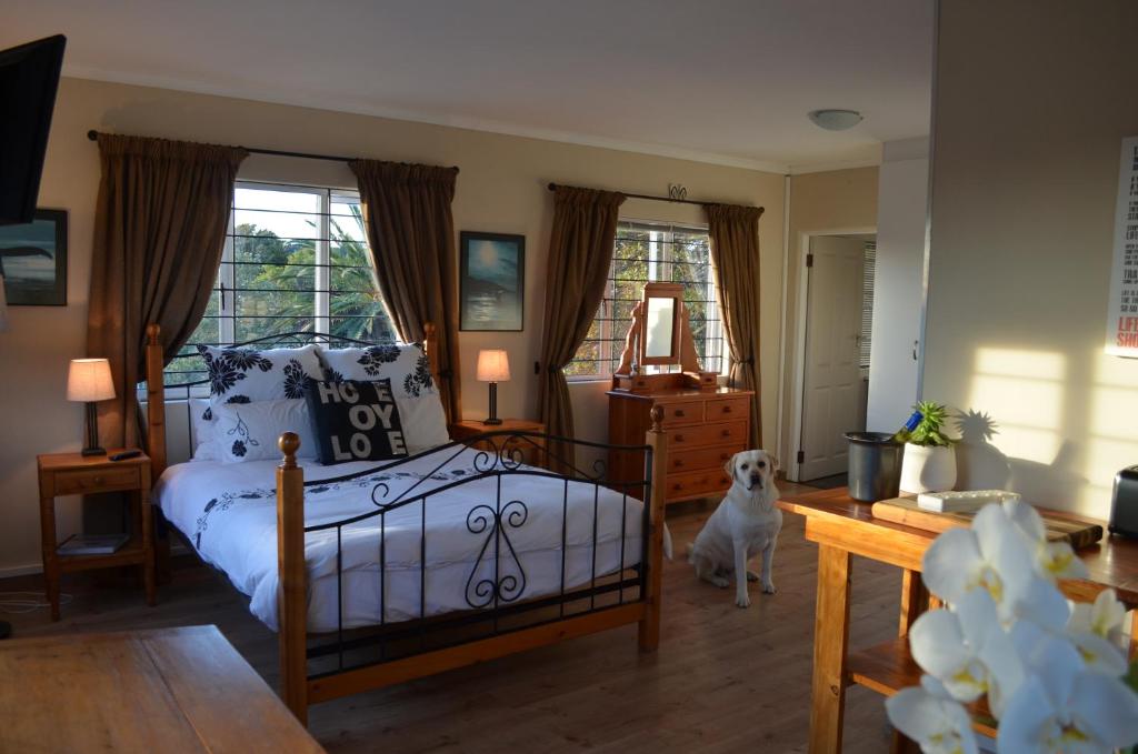 un dormitorio con una cama y un perro blanco dentro en Whale Tale, en Ciudad del Cabo