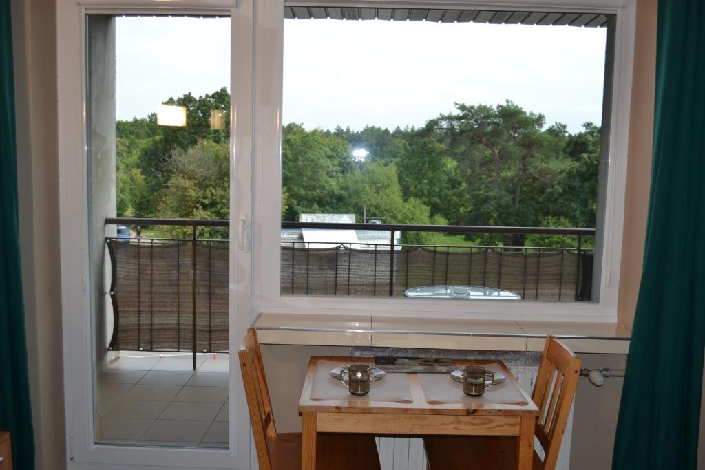 Zajazd Irina - Resim 34