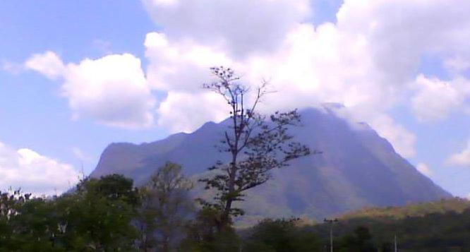 una montaña en la distancia con un árbol en el primer plano en Mondala Resort, en Chiang Dao