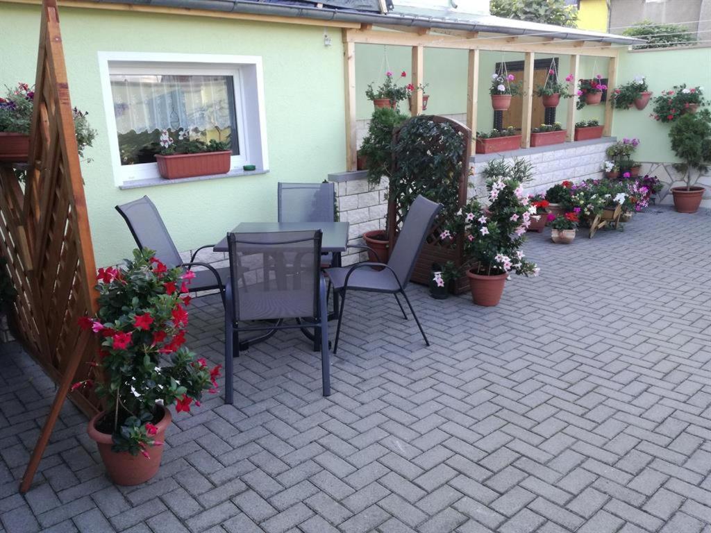 a patio with a table and chairs and potted plants at Ferienwohnung Hosang in Thale