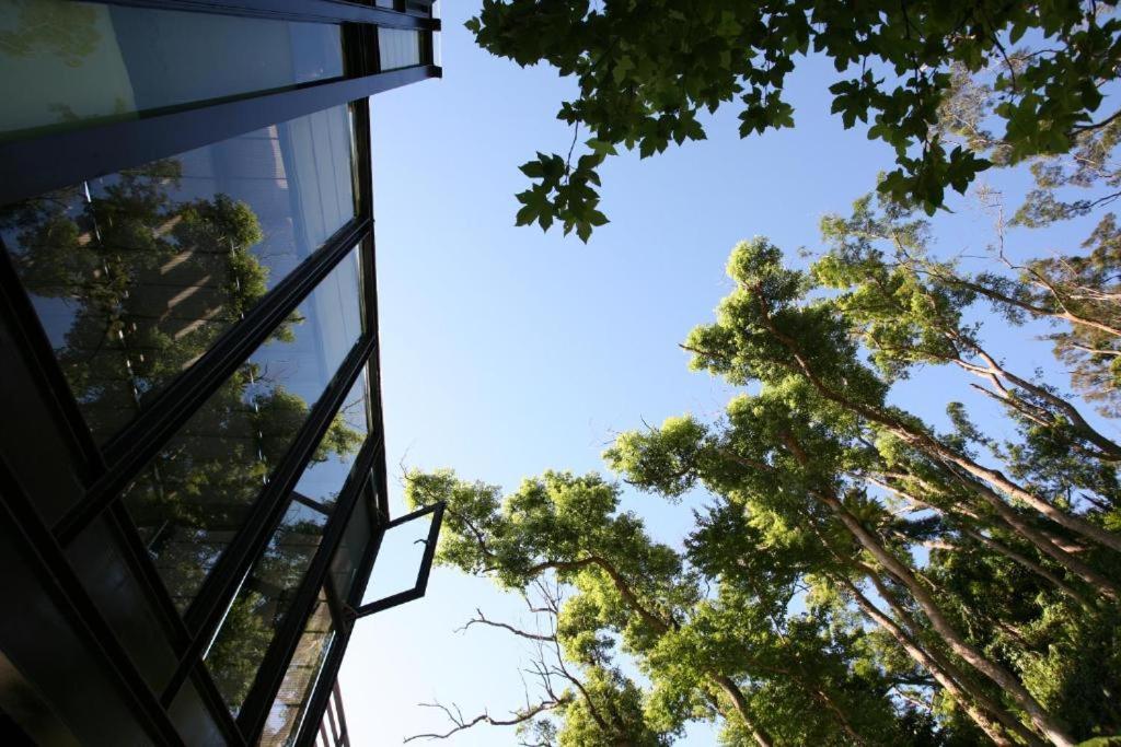 a building with glass windows and trees in the background at Echovilla Classic in Hualien City