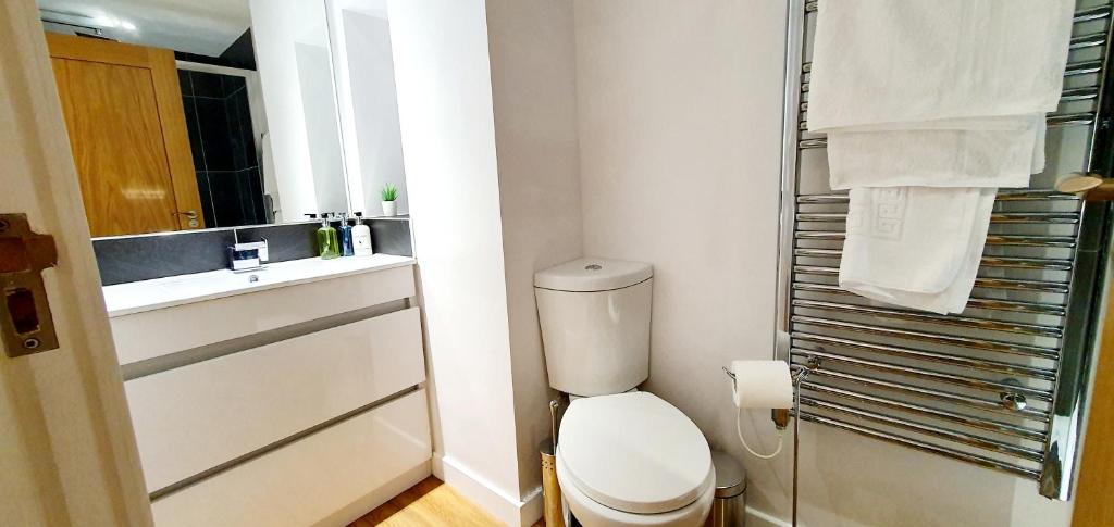 Koupelna v ubytování Northampton 2 Bedroom Town Centre Apartment close to University, Hospitals, Brackmills