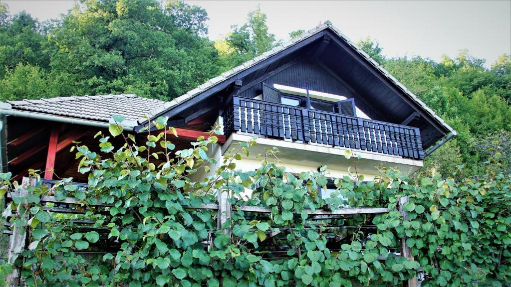 ein Haus mit einem Balkon und einem Haufen Reben in der Unterkunft Vineyard Cottage Zajc in Semič