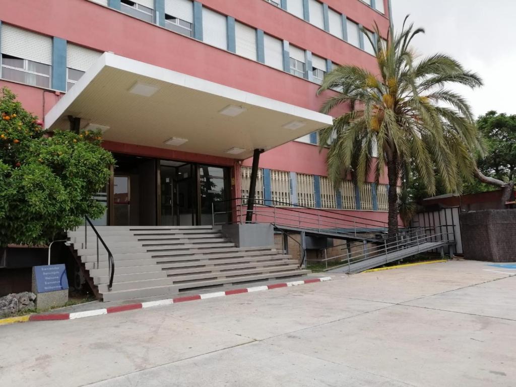 un bâtiment avec des escaliers et un palmier en face de celui-ci dans l'établissement Aparthotel Montcada, à Montcada i Reixac
