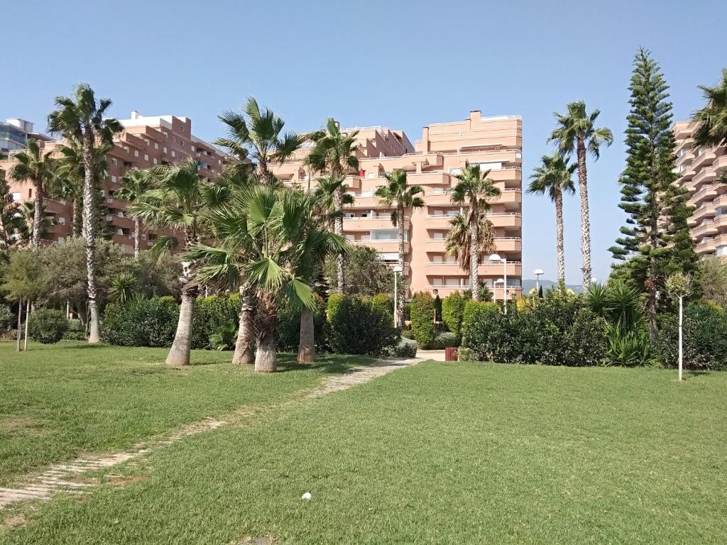 ein Park mit Palmen und ein großes Gebäude in der Unterkunft ACV - Vistamar II-1ª línea planta 1 norte in Oropesa del Mar