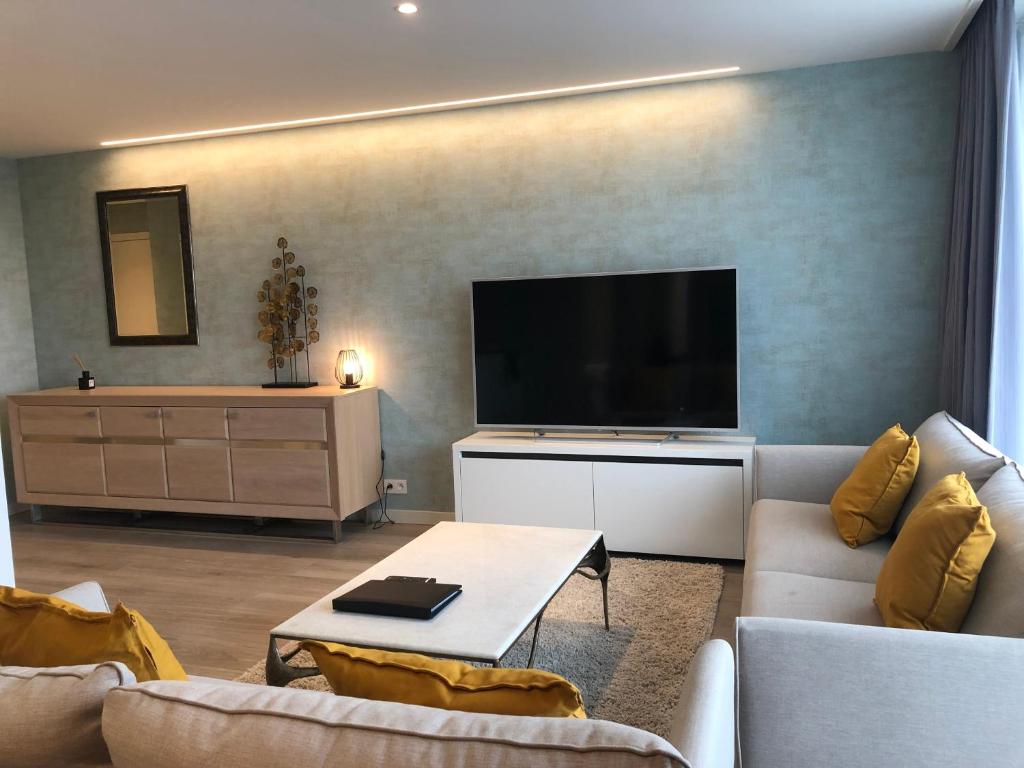 TV a/nebo společenská místnost v ubytování Acropolis - Luxury Appartments I Hotelservice and parking