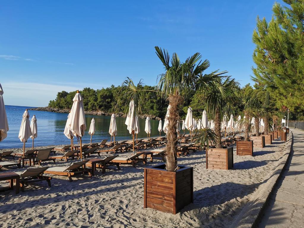 En strand i nærheden af lejligheden