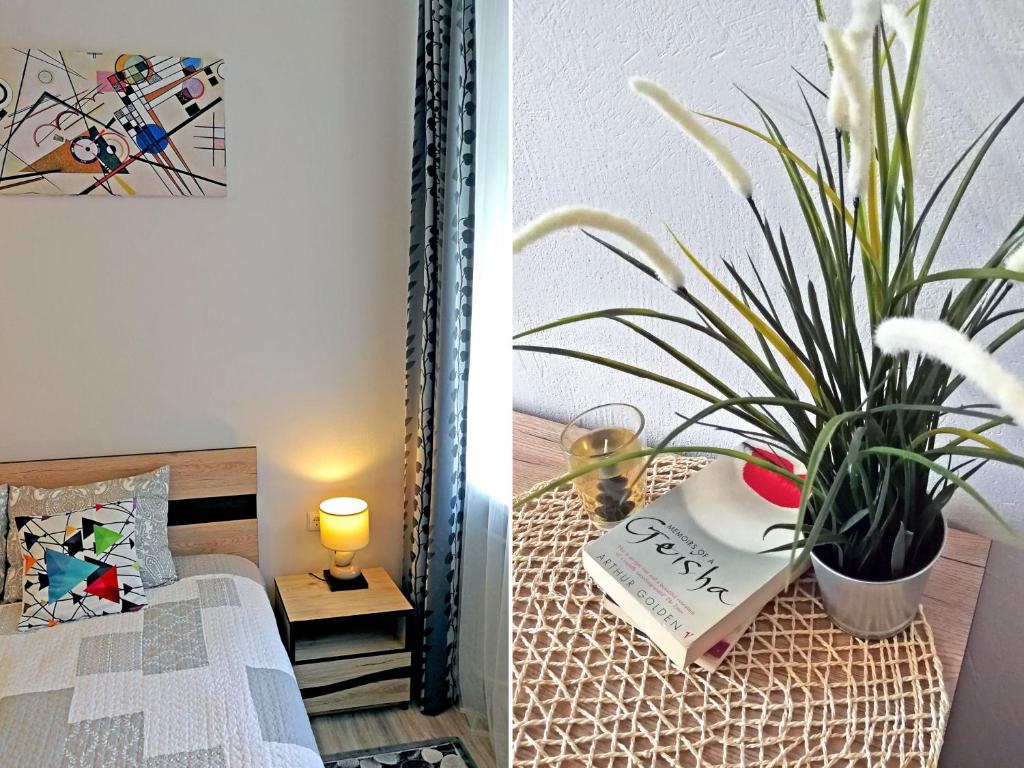 Šiauliai Central Spot Apartment - Apartment