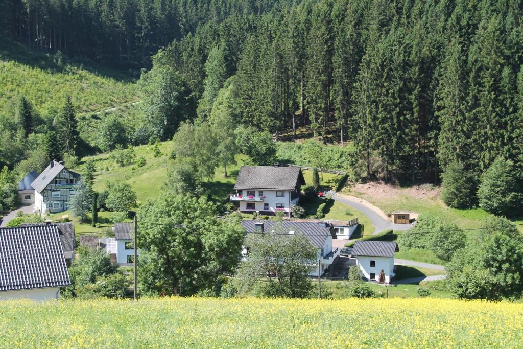 une maison au milieu d'une colline arborée dans l'établissement Holiday Home Rehsiepen, à Schmallenberg