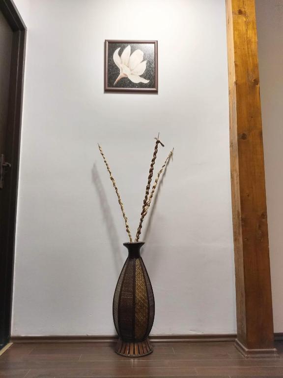 Fotografie z fotogalerie ubytování Sport Hostel Cluj v destinaci Kluž