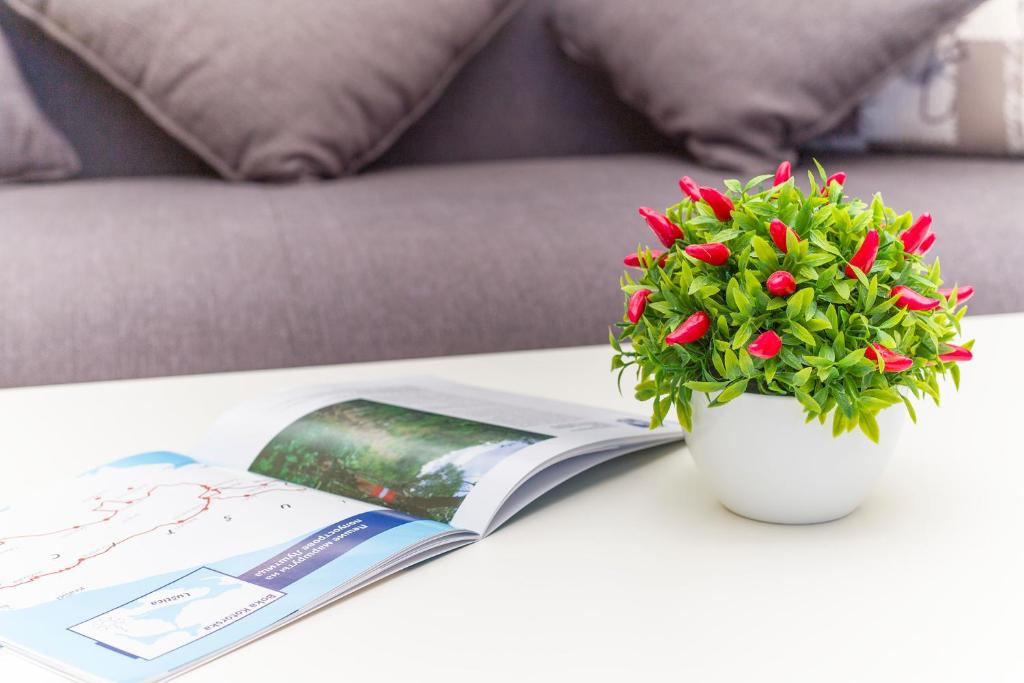 Apartments Isja - 15