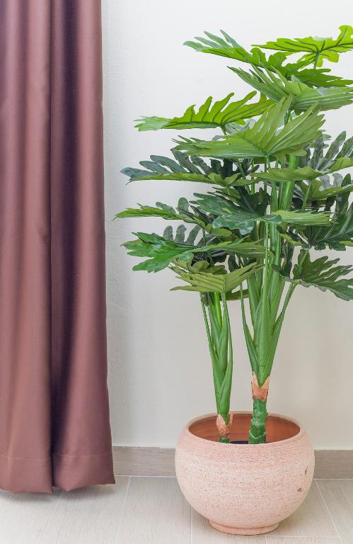 Apartments Isja - 18