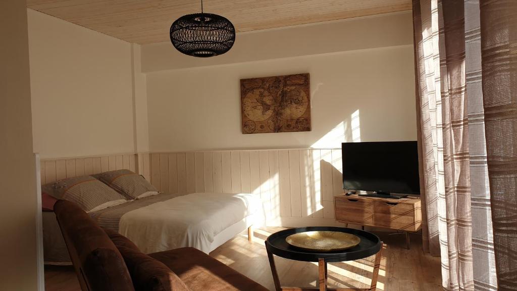 TV a/nebo společenská místnost v ubytování Les studios vue mer Le Matlo