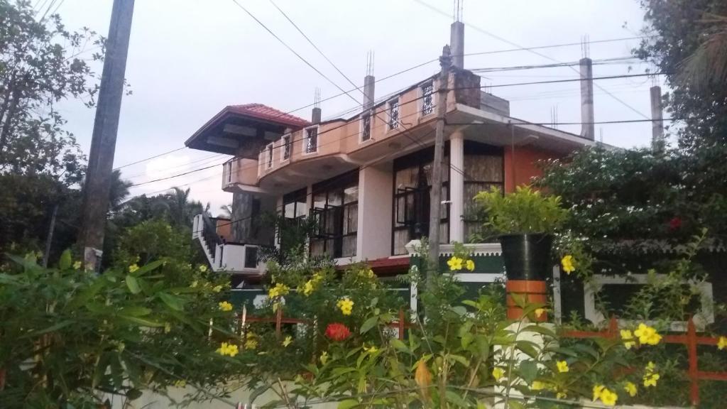 Zahrada ubytování Basilico Homestay