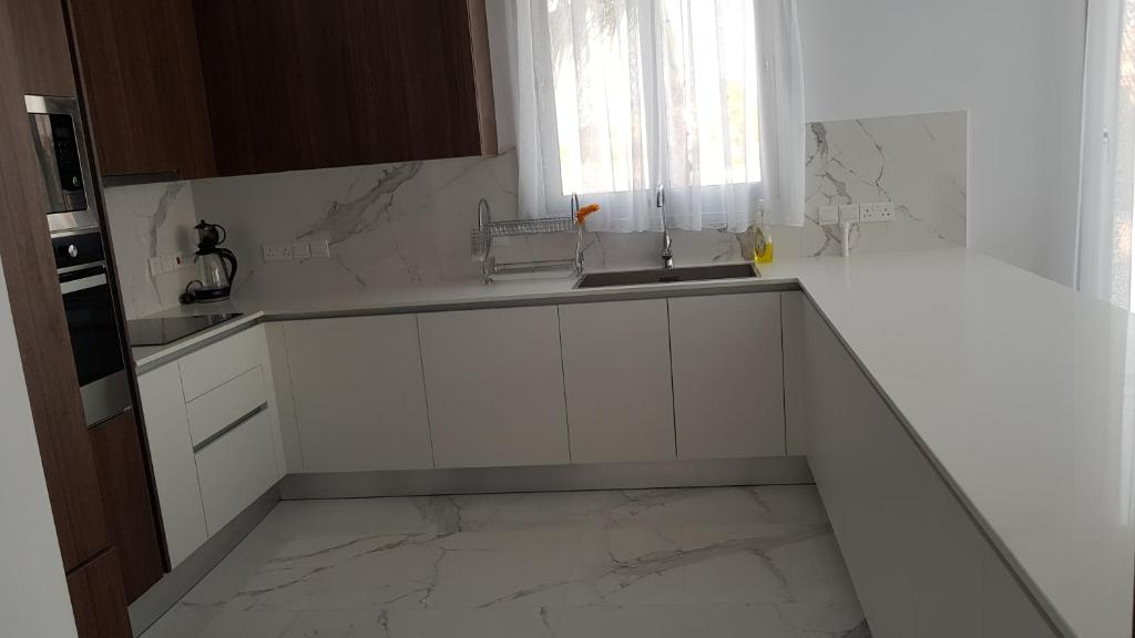 Kuchyň nebo kuchyňský kout v ubytování Mobina Villas
