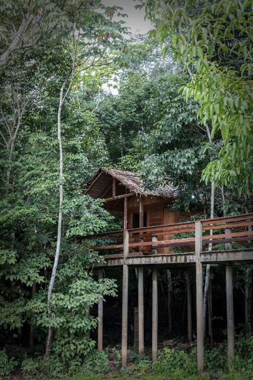  Dolphin Lodge