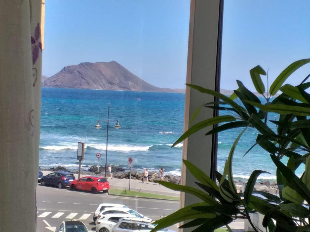 a view of the beach from a window with a plant at VISTAMAR VISTALUNA in Corralejo
