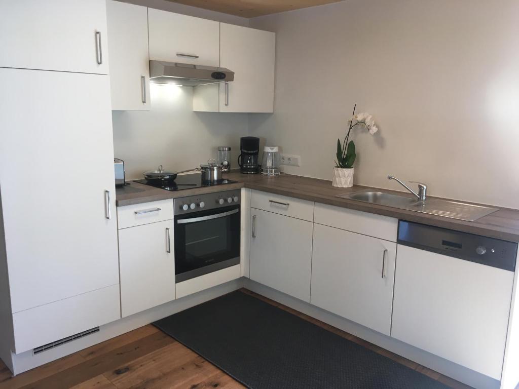 Kuchyň nebo kuchyňský kout v ubytování Wohnung in zentraler Lage im Rheintal