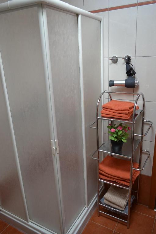 wieszak na ręczniki obok prysznica w łazience w obiekcie Apartment Din w mieście Banjole