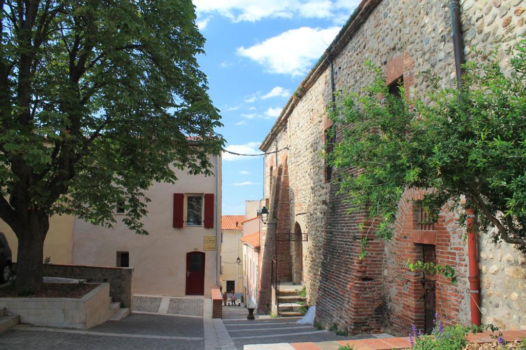 an alley in an old brick building with a tree at Maison au pied de la cathédrale in Elne