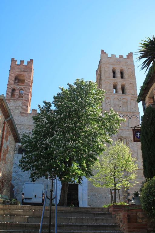 a tree in front of a building with two towers at Maison au pied de la cathédrale in Elne