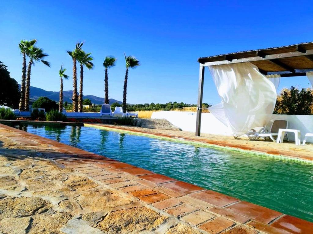 una piscina con palme sullo sfondo di Hotel Ronda Moments a Ronda