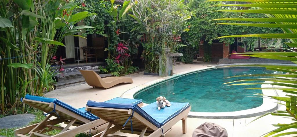 Bazén v ubytování Baliwid Villa Ubud nebo v jeho okolí