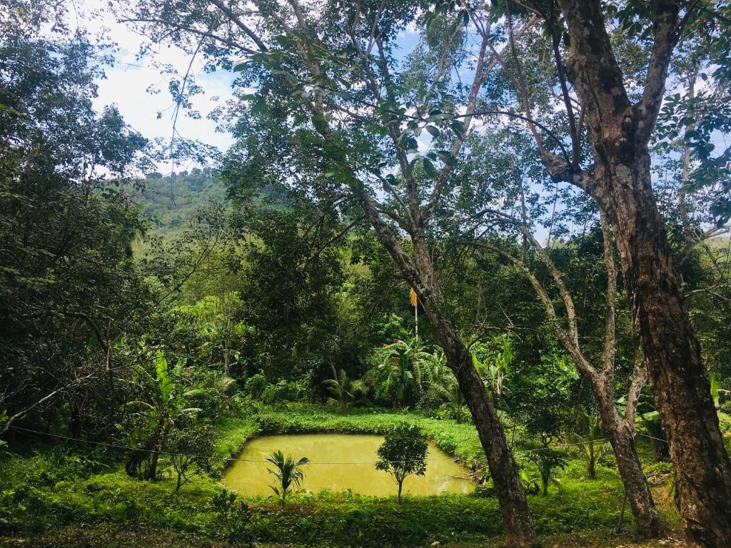 Mookies Bungalows - Bungalow Standard Con Ventilatore