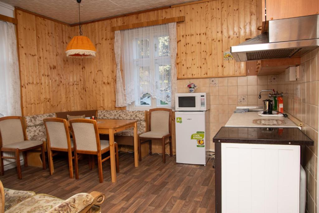 Kuchyň nebo kuchyňský kout v ubytování Apartmány U Kocoura pod Klínovcem
