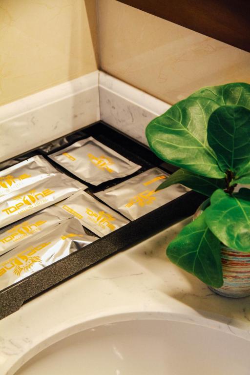 Topone Halong Hotel - Superior Twin Room