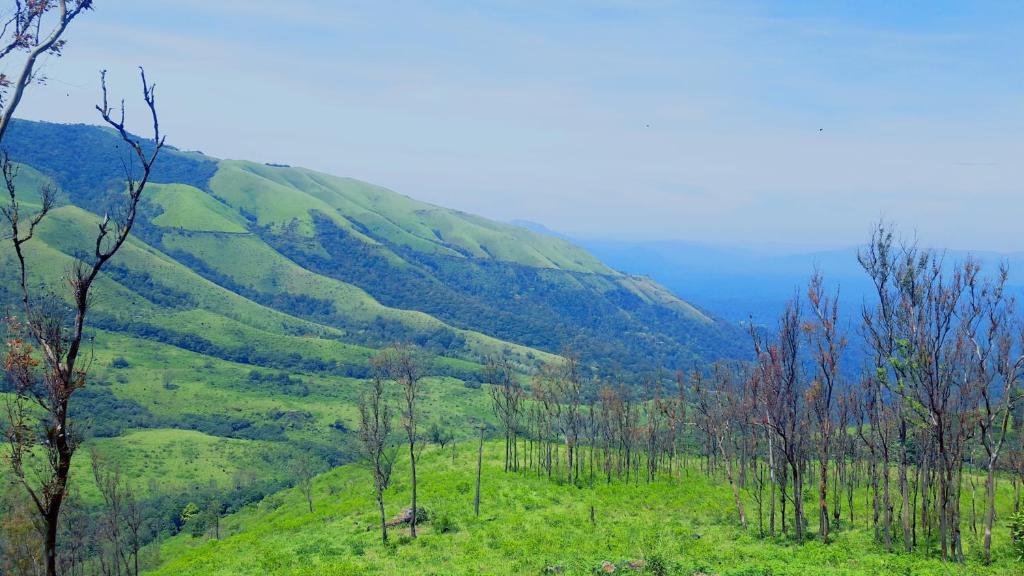 a view of a mountain with trees and green hills at Freshup & Stay in Chikmagalūr
