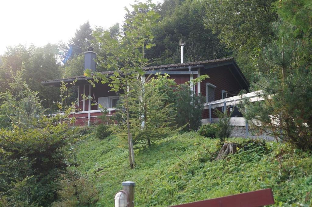 una casa en la cima de una colina con árboles en Luchshuette, en Sankt Andreasberg