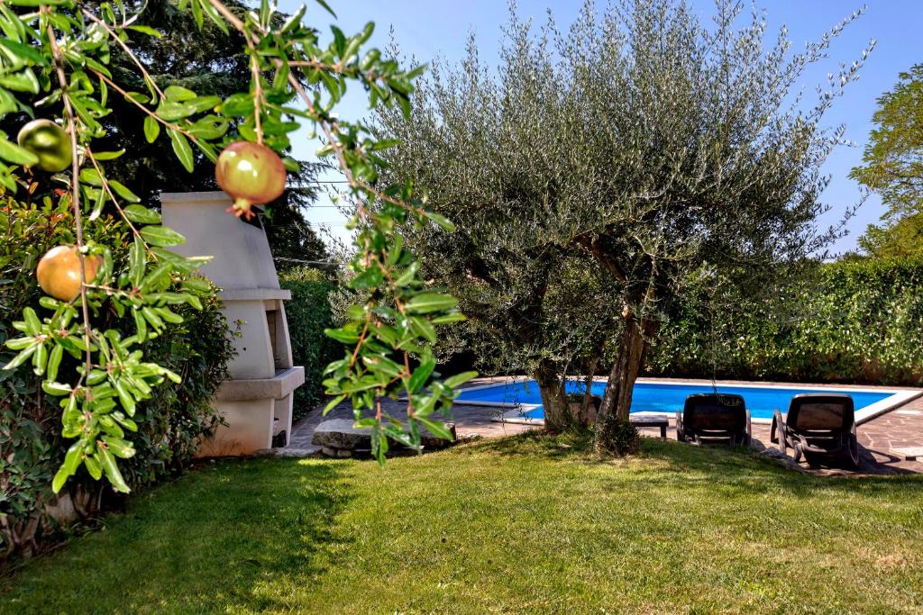 Vonkajšia záhrada v ubytovaní Villa Nina with Private pool near Poreč