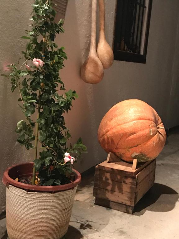 El Lagar de los Abuelos - 12