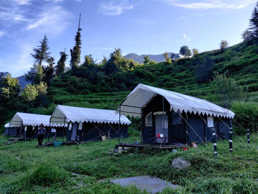 a row of tents in a field in a hill at My Manali Adventure in Jibhi