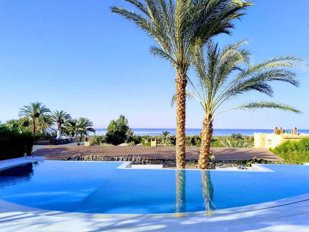 a pool with two palm trees in front of the ocean at Kom El Dikka Agri Lodge in ‘Izbat an Nāmūs