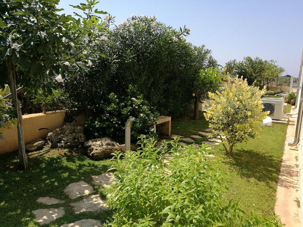 A garden outside La Conchiglia