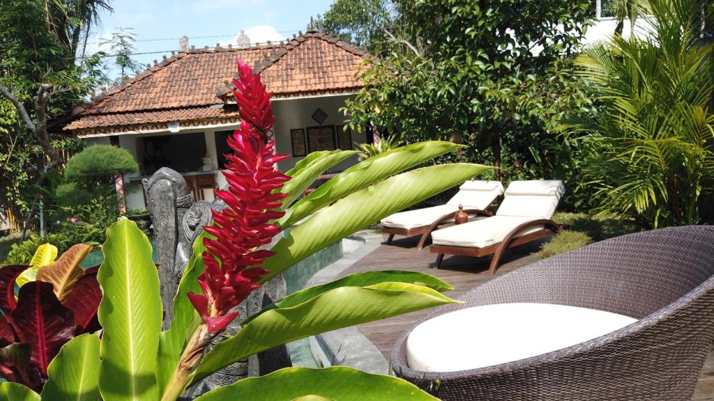 Zahrada ubytování Villa Sindu Ubud
