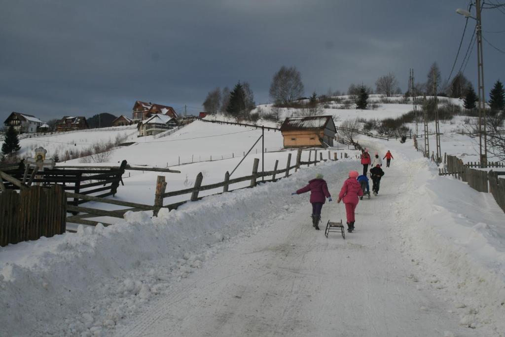 a group of people walking down a snow covered road at Pension Mama Cozonacilor in Bran
