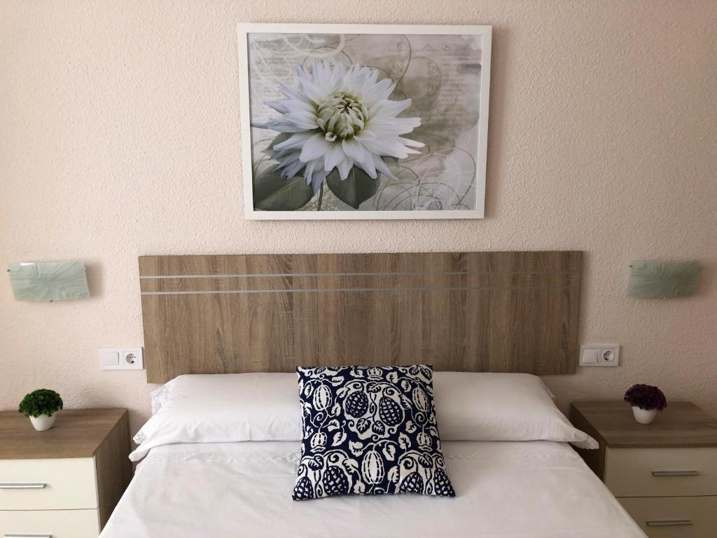 Fotografia z galérie ubytovania Valencia Gold Beach v destinácii Valencia