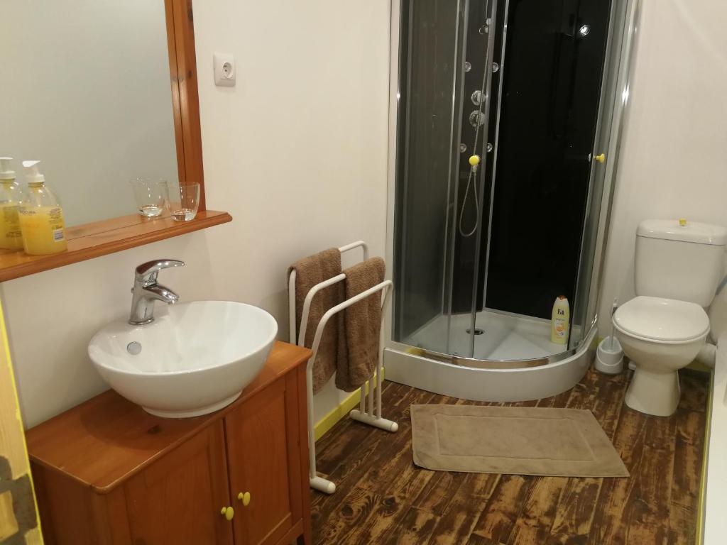 une salle de bain avec un lavabo, une douche et des toilettes dans l'établissement Douceur des couverts, à Mirepoix
