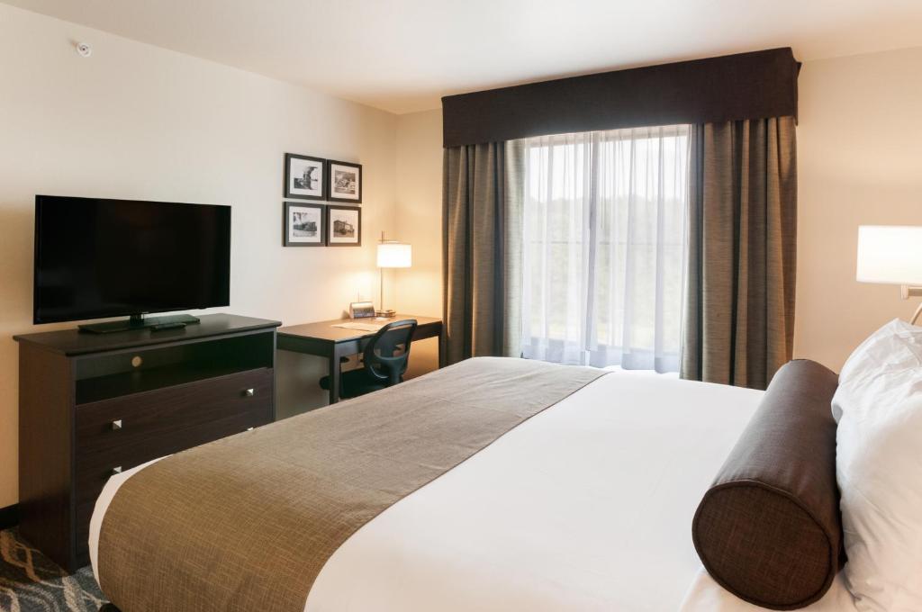 Cobblestone Hotel & Suites Appleton International Airport - Cuarto King