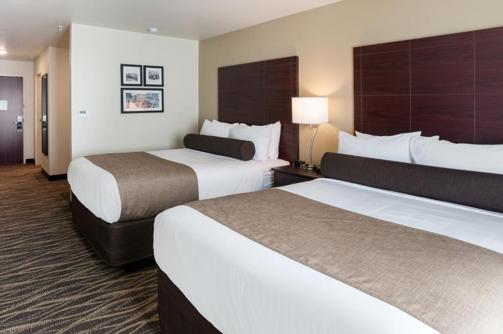 Cobblestone Hotel & Suites Appleton International Airport - Estudio De Reina
