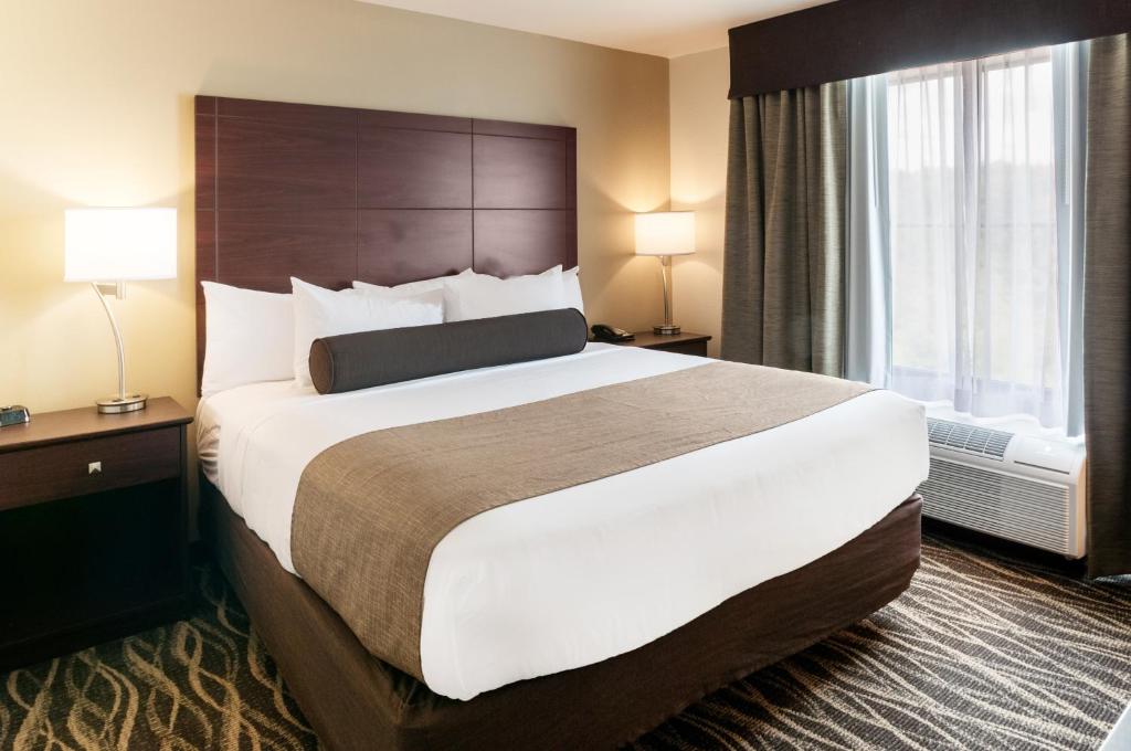 Cobblestone Hotel & Suites Appleton International Airport - Estudio De Rey