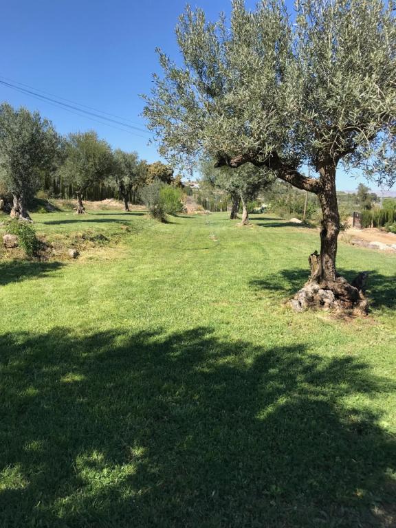 Un jardín fuera de Oasis Country Park