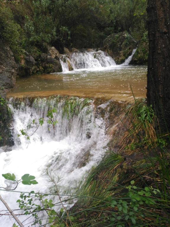 Un paisaje natural cerca del camping